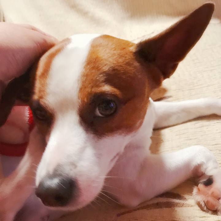 Bd4286e0 87fb 41a8 8fe4 ae2f67c568ba