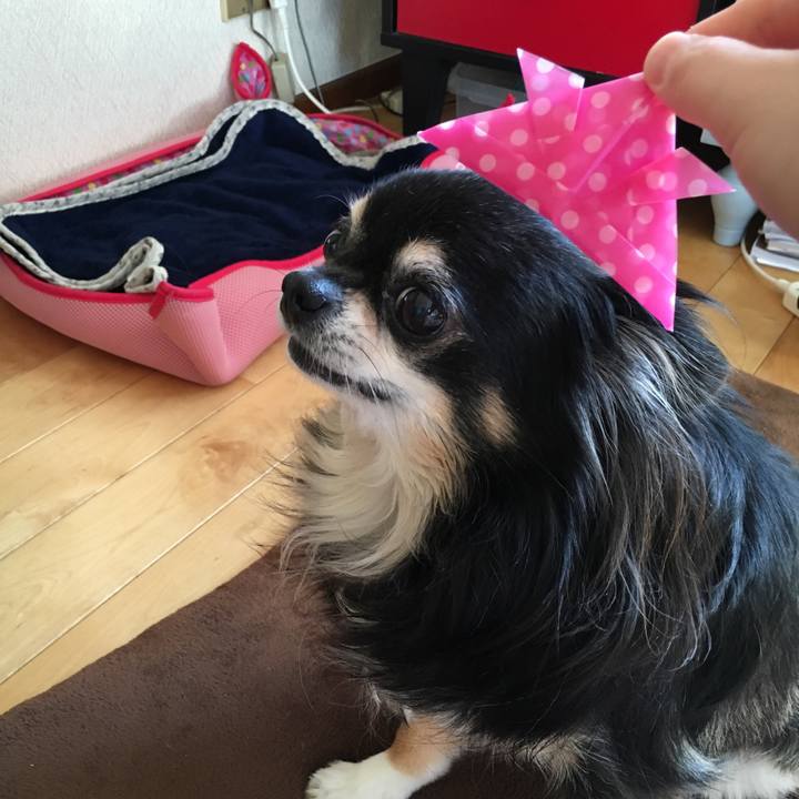 Bd428c69 39ff 4377 9b3f b4e9e8a0ded9