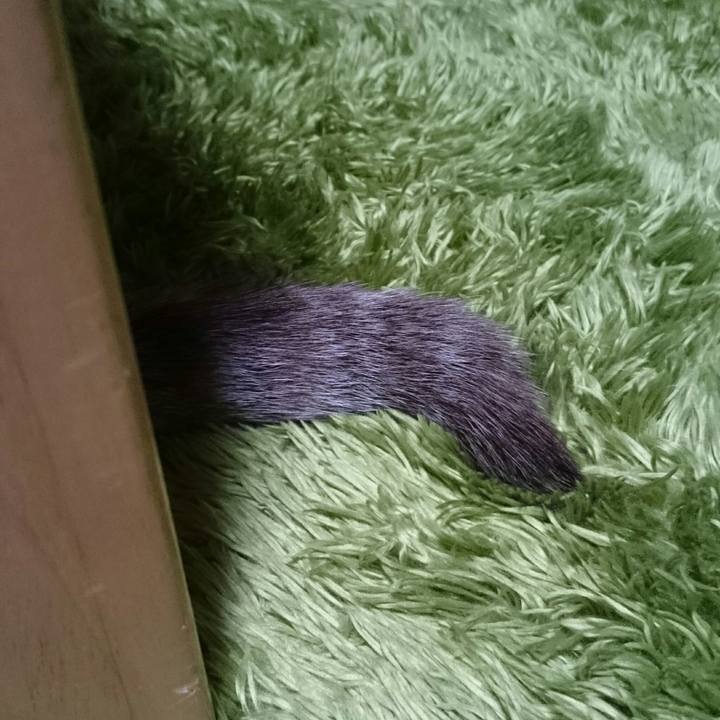 Bd42fc50 f877 4316 901a d24b44925404