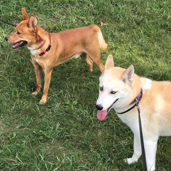 Bd43400d efda 4685 809f ecf43646a723