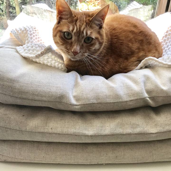 Bd435929 6379 406c b2bd 15c4c89cd97f