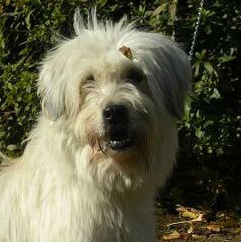 Bd43ad3f 642f 4f71 8ac5 a6cdcbbdbd4c