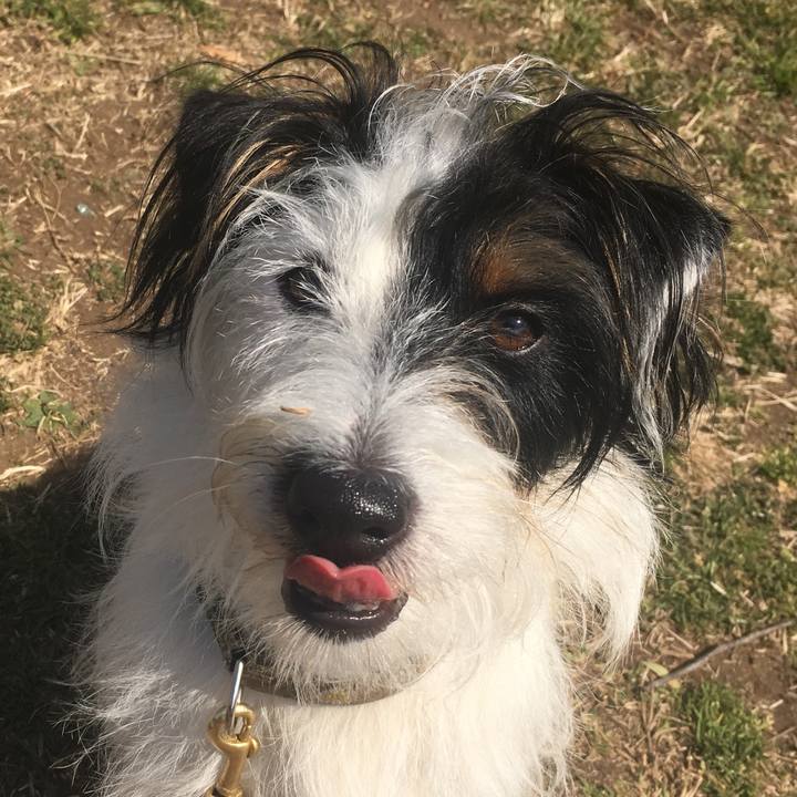 Bd43d9b8 d749 44ce a572 78127be5b8a6