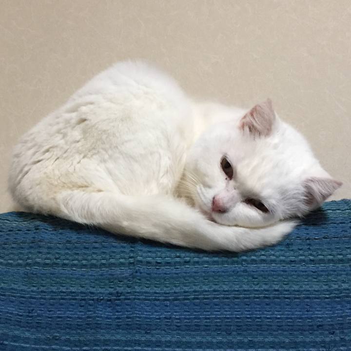 Bd43e2fa 3c40 4206 a42d 3f8aae83955f