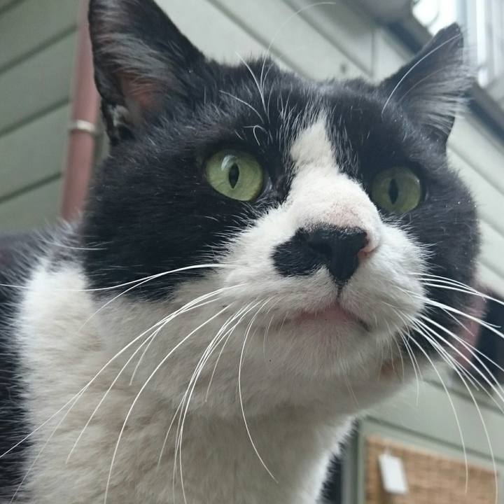 Bd43e4a3 45e9 444b 8cd5 15d51c48616d