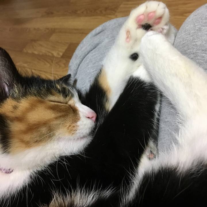 Bd44a06e c41d 4359 9df8 1a4cd1cc6d68