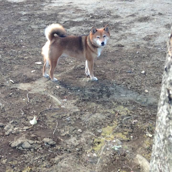 Bd44d33f 112d 44d0 9a50 e8ba5c7f05dc