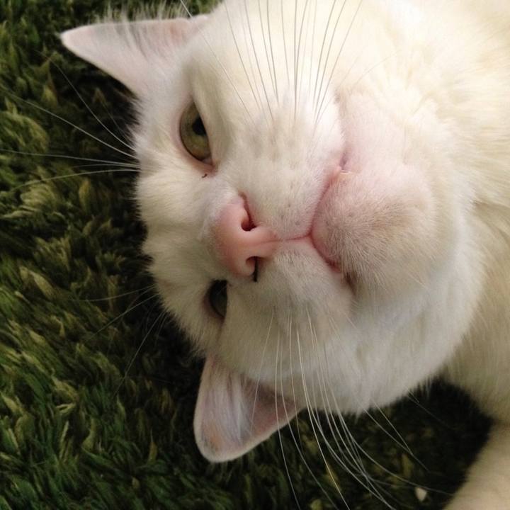 Bd450e2d 380b 4f3c 9a98 990ab1171b8c