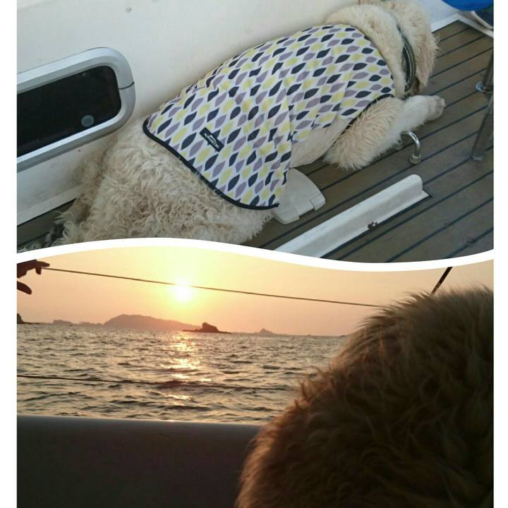 Bd461f98 a770 40fd 9721 be58e817bca9