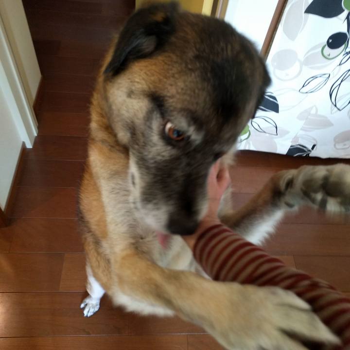 Bd46d9de 474d 4cde 81b9 049ec6009b09