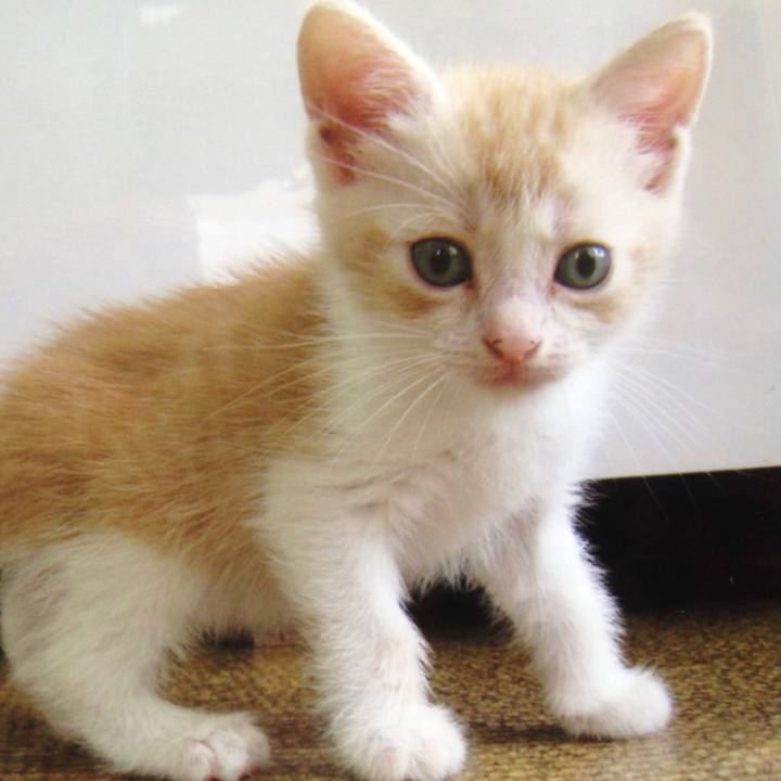 Bd471a6e 4799 4274 a3ca b54ab921c3b2