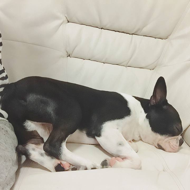 Bd490dd5 b1f4 4201 aad3 53f6fead22dc