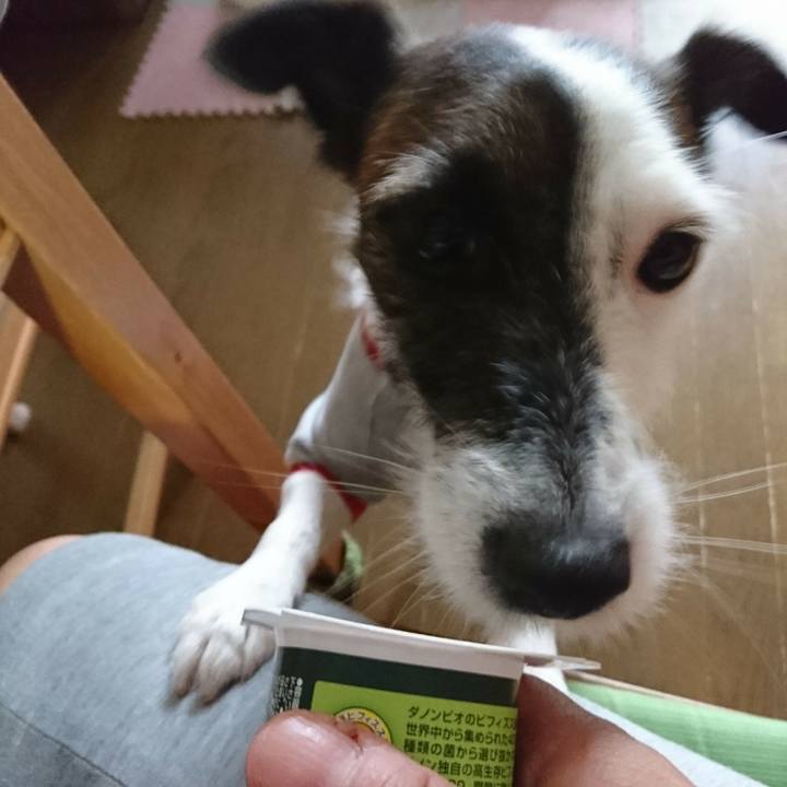 Bd49112d 6184 4ff1 92b0 551186d0a199