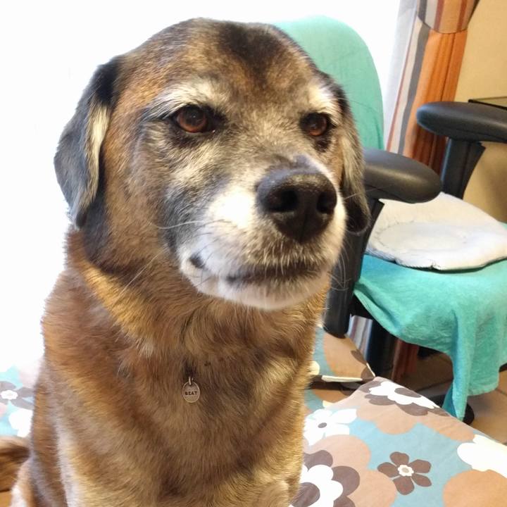 Bd49ec1a 8780 453a b862 d15665fc4be5