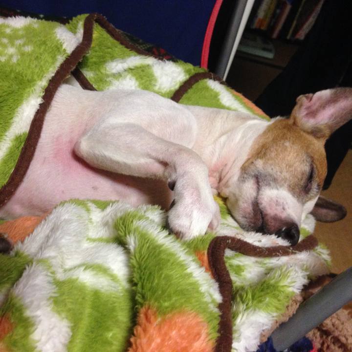 Bd4a9d8d 5240 4c78 8d76 ce1afb7b8f92