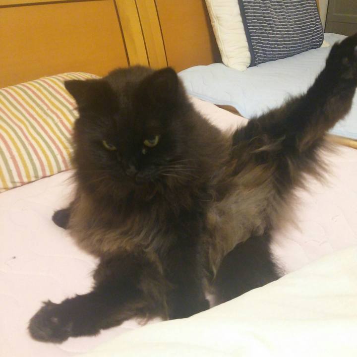 Bd4aad23 ae8a 4111 9004 318d71dff371