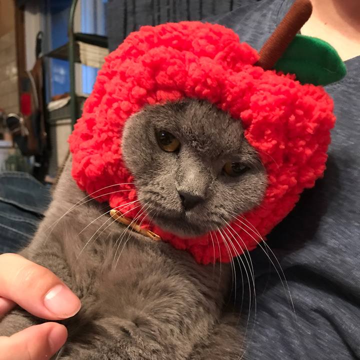 Bd4b73b5 958a 451c 8d52 aba99d7898cb