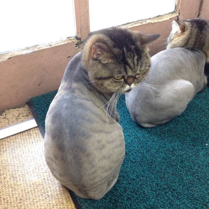 Bd4b8b1b 57c1 4edf bdb4 7590a8531c69