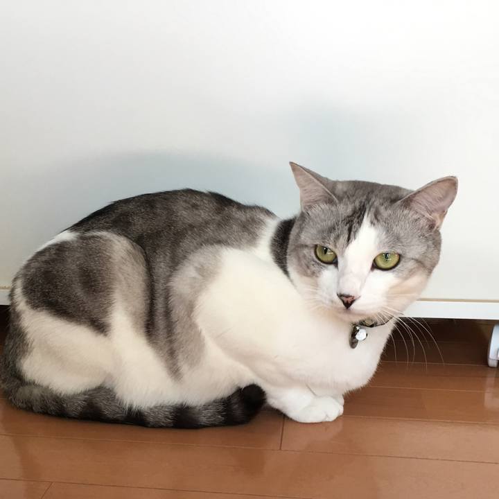 Bd4c4298 e41d 4c5c af7d 9e3bd3f74ef8