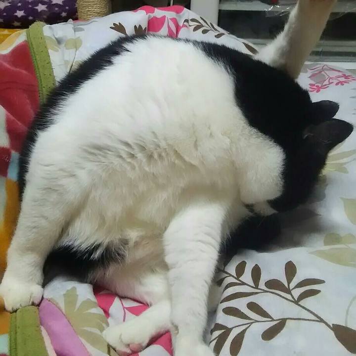 Bd4c6a50 82e0 4586 bdf8 c8d99d77bd07