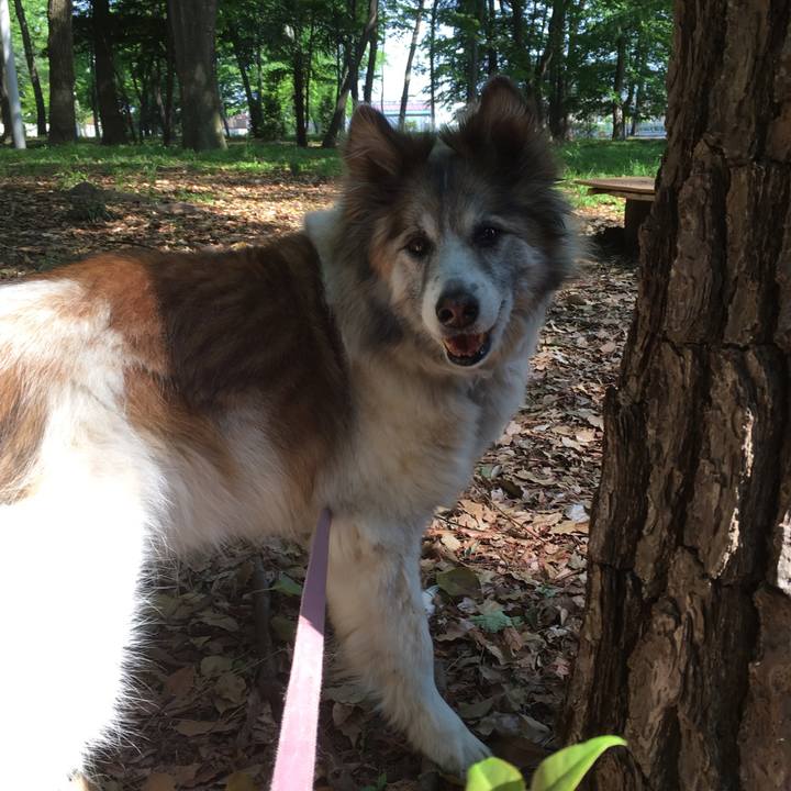 Bd4cda50 edc7 4cae b37b e58b6775d1e4