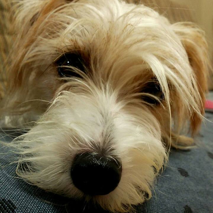 Bd4ce67b e5e7 4b91 9370 5d63732b223d