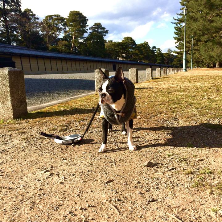 Bd4d0cf4 7200 46be abb7 2a0b64f843ea