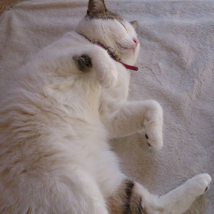 Bd4d4761 077a 4efd 9620 b5f06ad56b8d