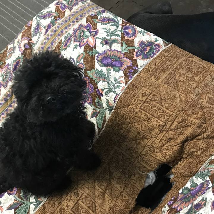 Bd4d6d61 f927 4b29 9c67 acf7ae6ee913