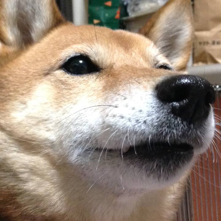 Bd4dfafd f182 4a8f 815b 3b820036035e