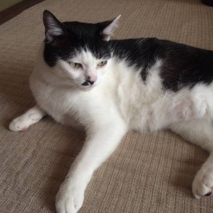 Bd4dfb67 ede7 4d90 aa7d 1285ab74ca94