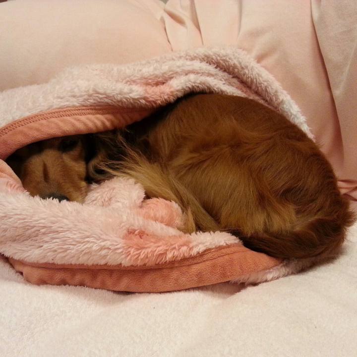 Bd4e3a09 e2a5 4558 af15 ced17ef86d4a