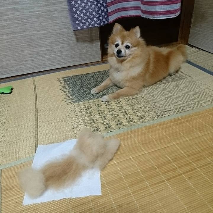 Bd4e4666 3fd7 4752 812a e1d7fe7af191