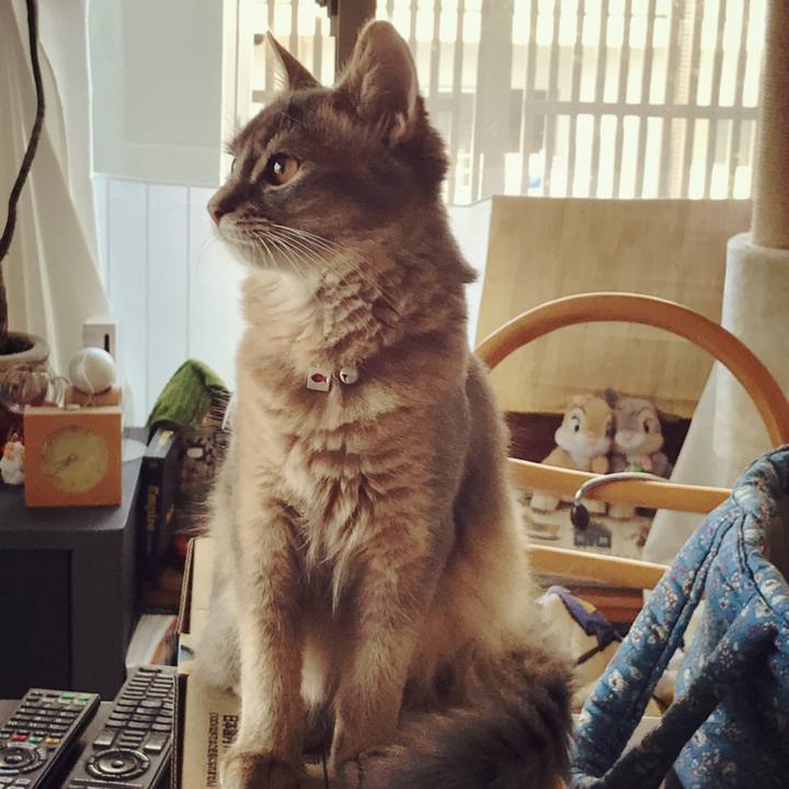 Bd4e5c53 9707 4261 b75c 597a515f56d4