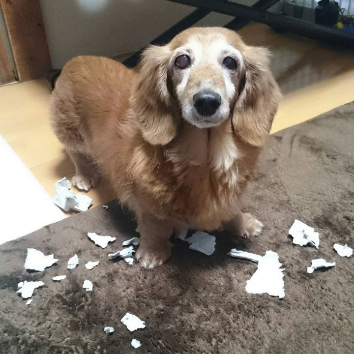 Bd4e7c5d 269c 4422 90e8 1eda92f0d284