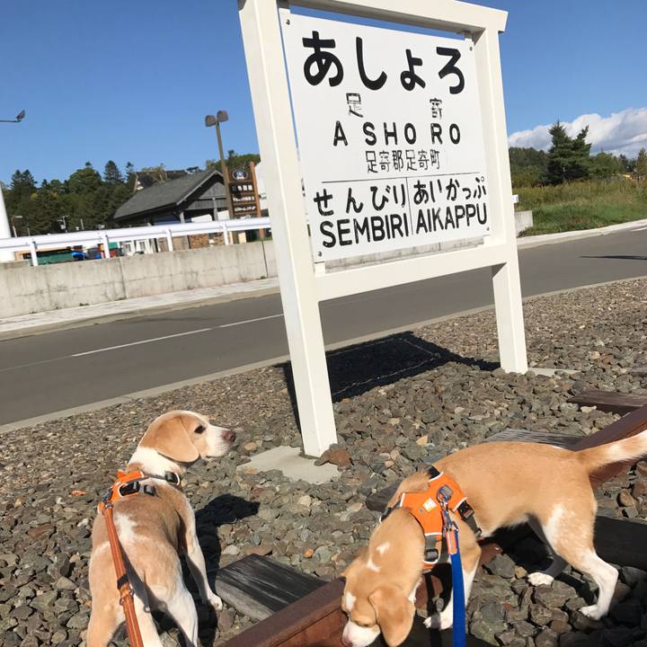 Bd4eb680 2b08 4660 889b 4011de196f9d