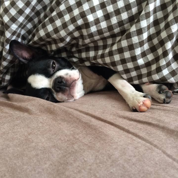 Bd4f1271 d98d 45bb b4d3 19abcd992055