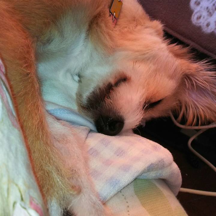 Bd4f13b2 d8c8 4f9d ae54 4db8da845963