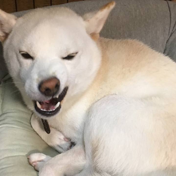 Bd50d50b 2f73 444f 8d38 522b12803315