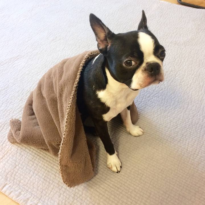 Bd5107ec 261d 4f68 a6cd 474114e6fbcd