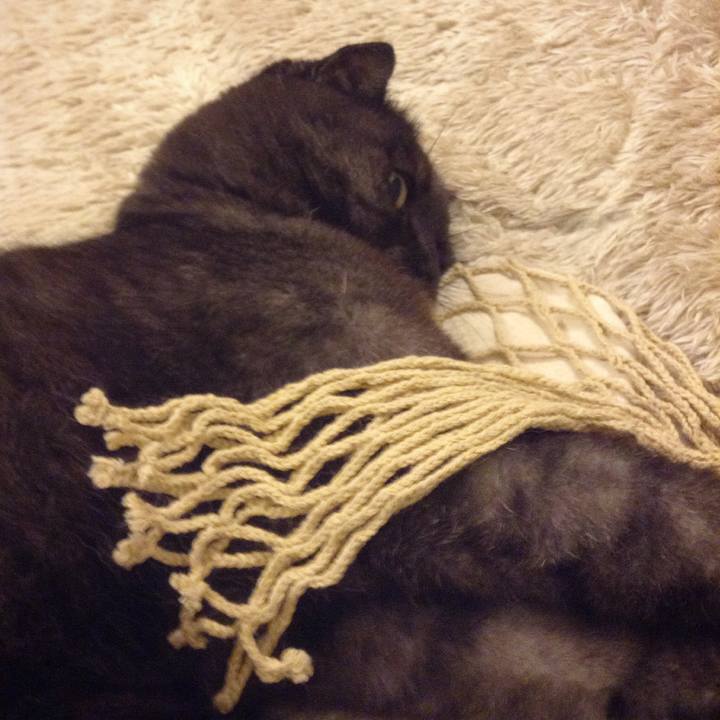 Bd52a807 2f05 4923 adf7 3ed0dac5aa67