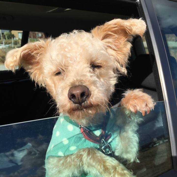 Bd52b3f8 6710 4ddd a36d aeb50798c219