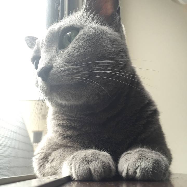 Bd5300fe b0ba 4d2d 8263 a4844eccfc4d