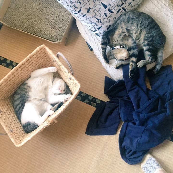 Bd5310a0 143d 4c2a b020 344aa27ff4c0