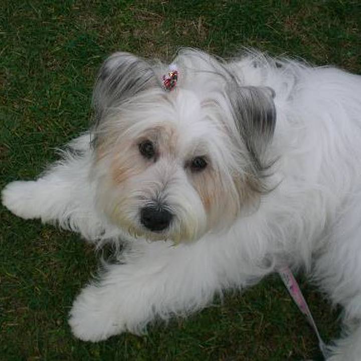 Bd53558f be9e 4c83 83a8 930a68b7dbc8