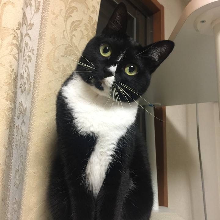 Bd536a1c 032b 42b5 910b 83091409009d