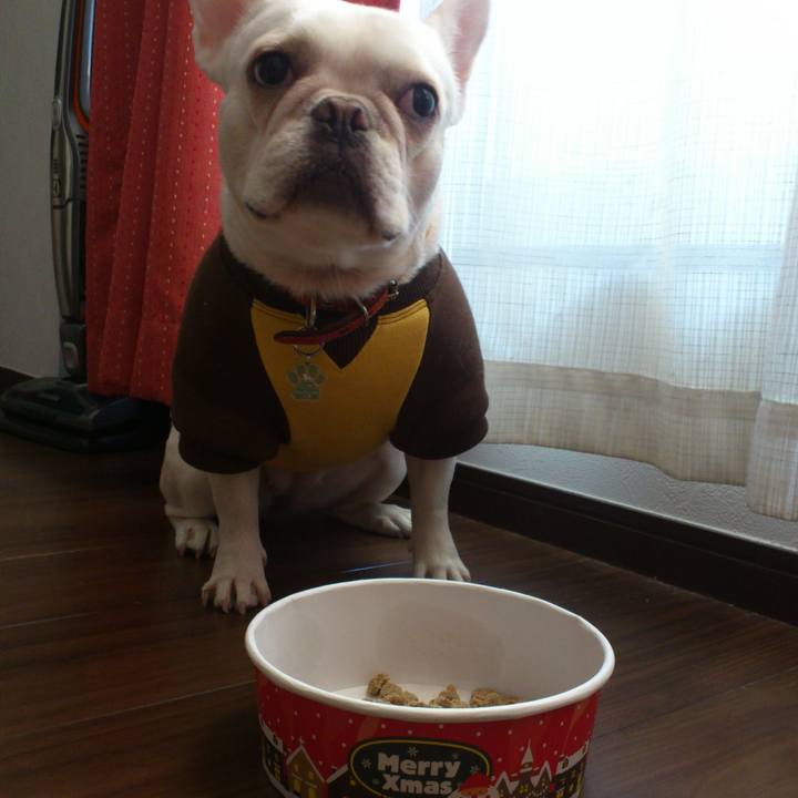 Bd53a768 4df6 4377 9704 8d12482e6b0c