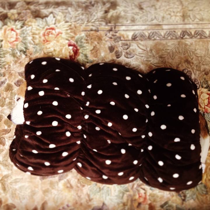 Bd53e10e 4aea 4bae b5b5 d24cb6a5ff26