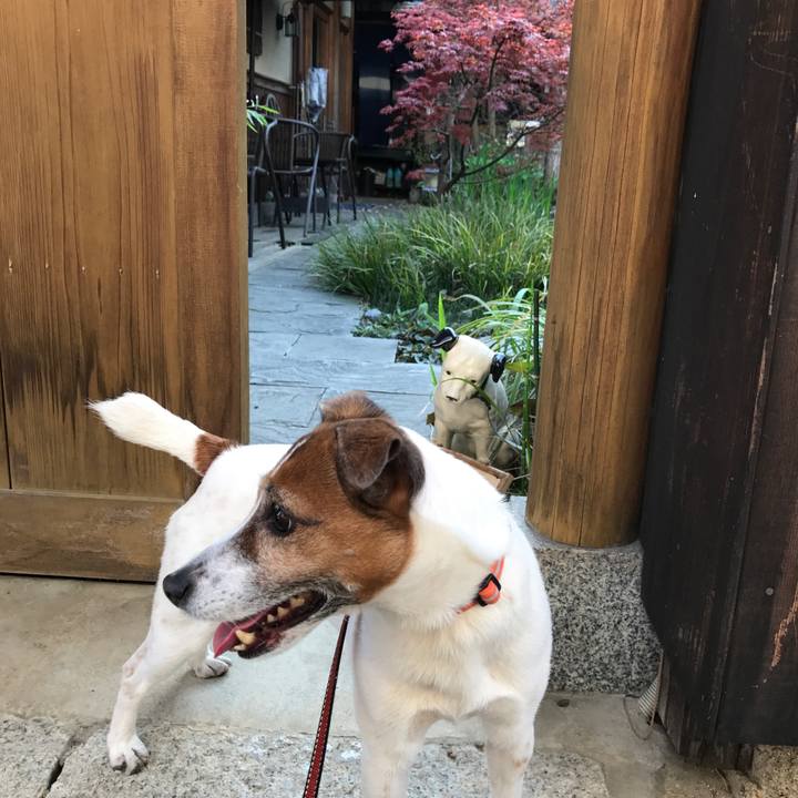 Bd53f9cd df18 4538 a375 f1c4f0d22a3e