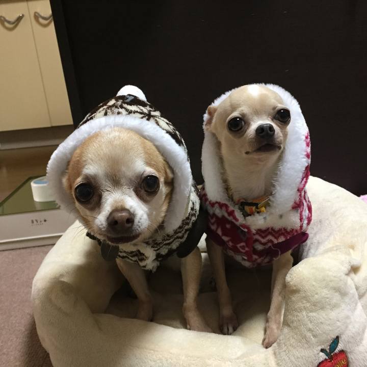 Bd540cc2 8156 4f52 911d 9a6f79c13162